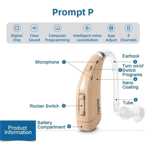 New igni prompt - new,