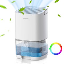 Dehumidifiers for Home Damp